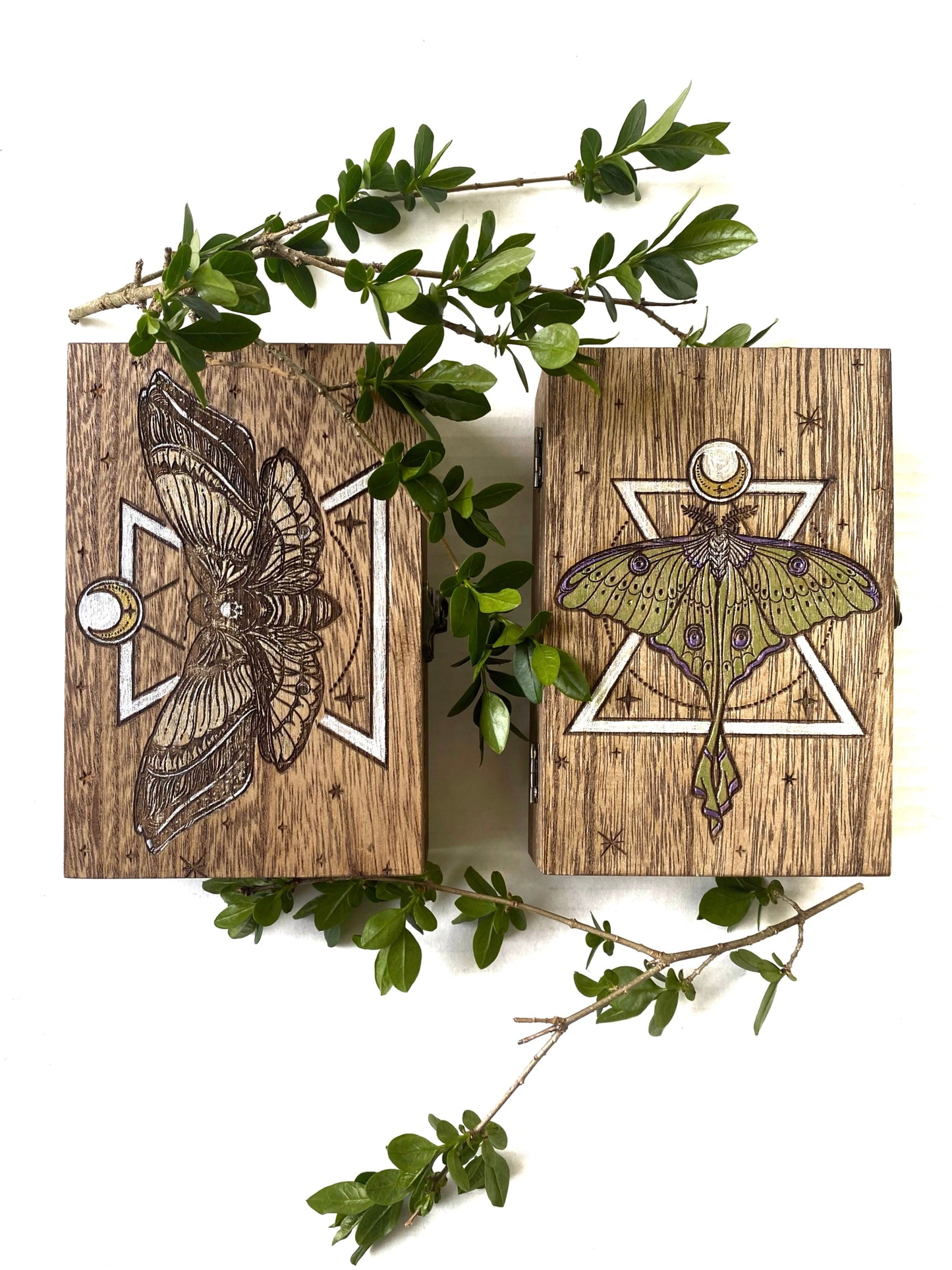 Death Head Hawk Moth Tarot Box - Faux Theory Design