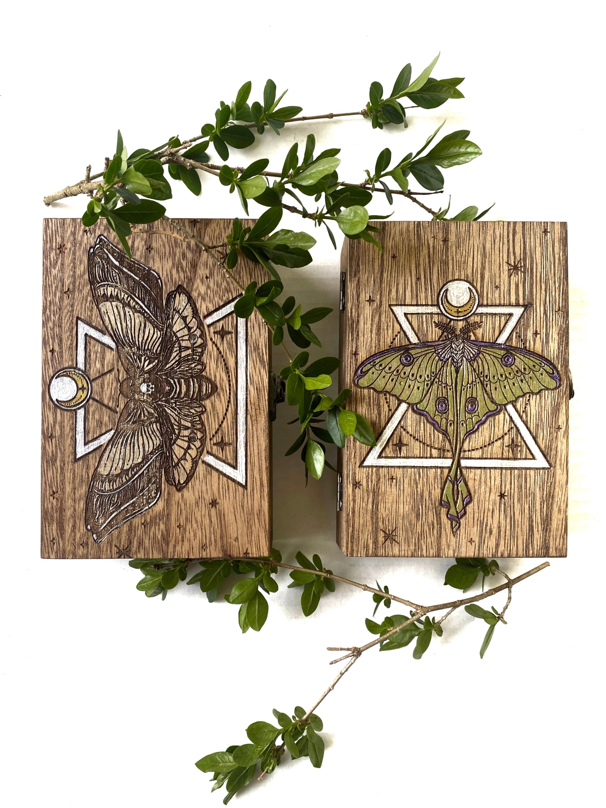 Death Head Hawk Moth Tarot Box - Faux Theory Design