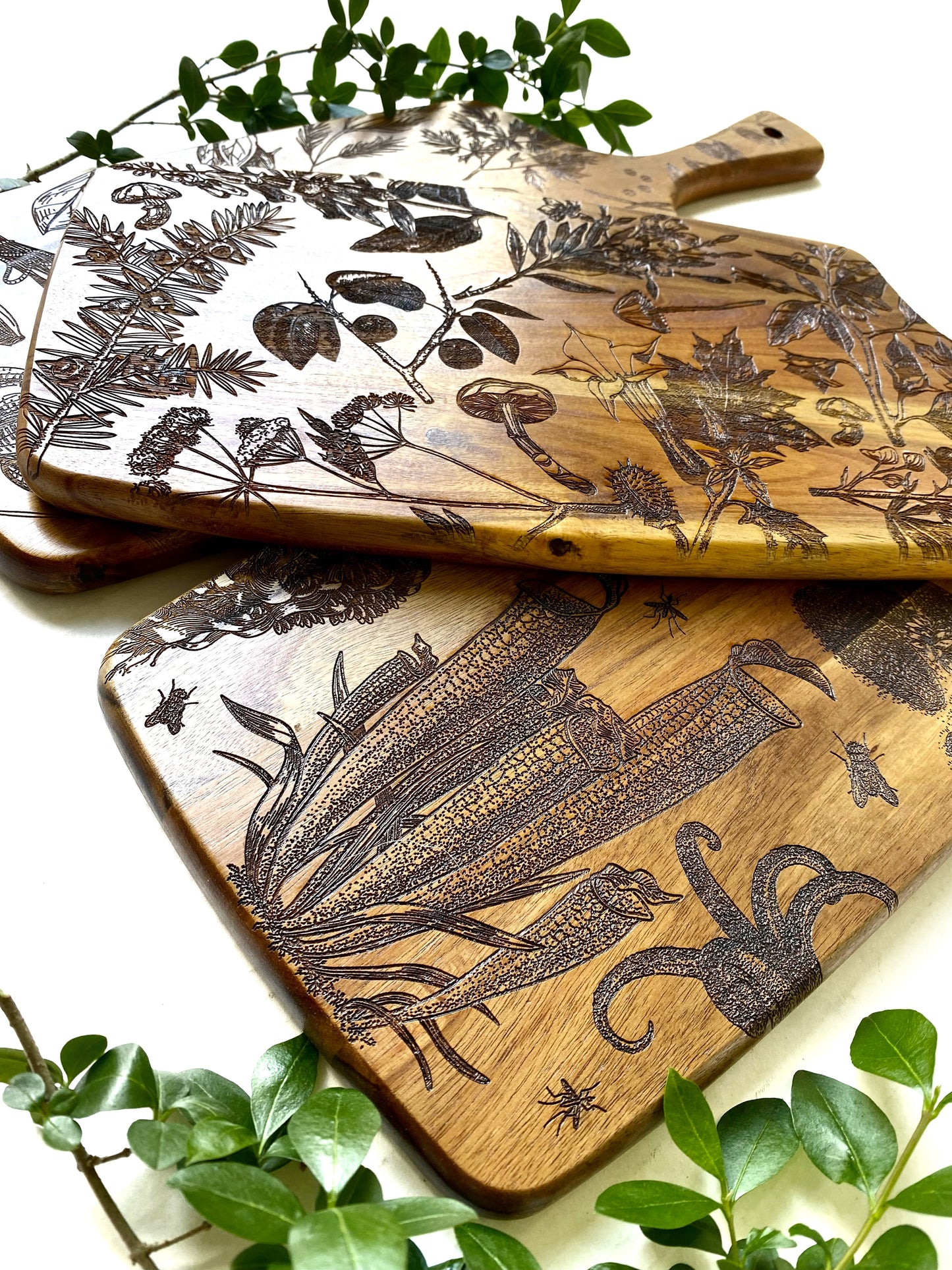 Carnivorous Plants Charcuterie Board