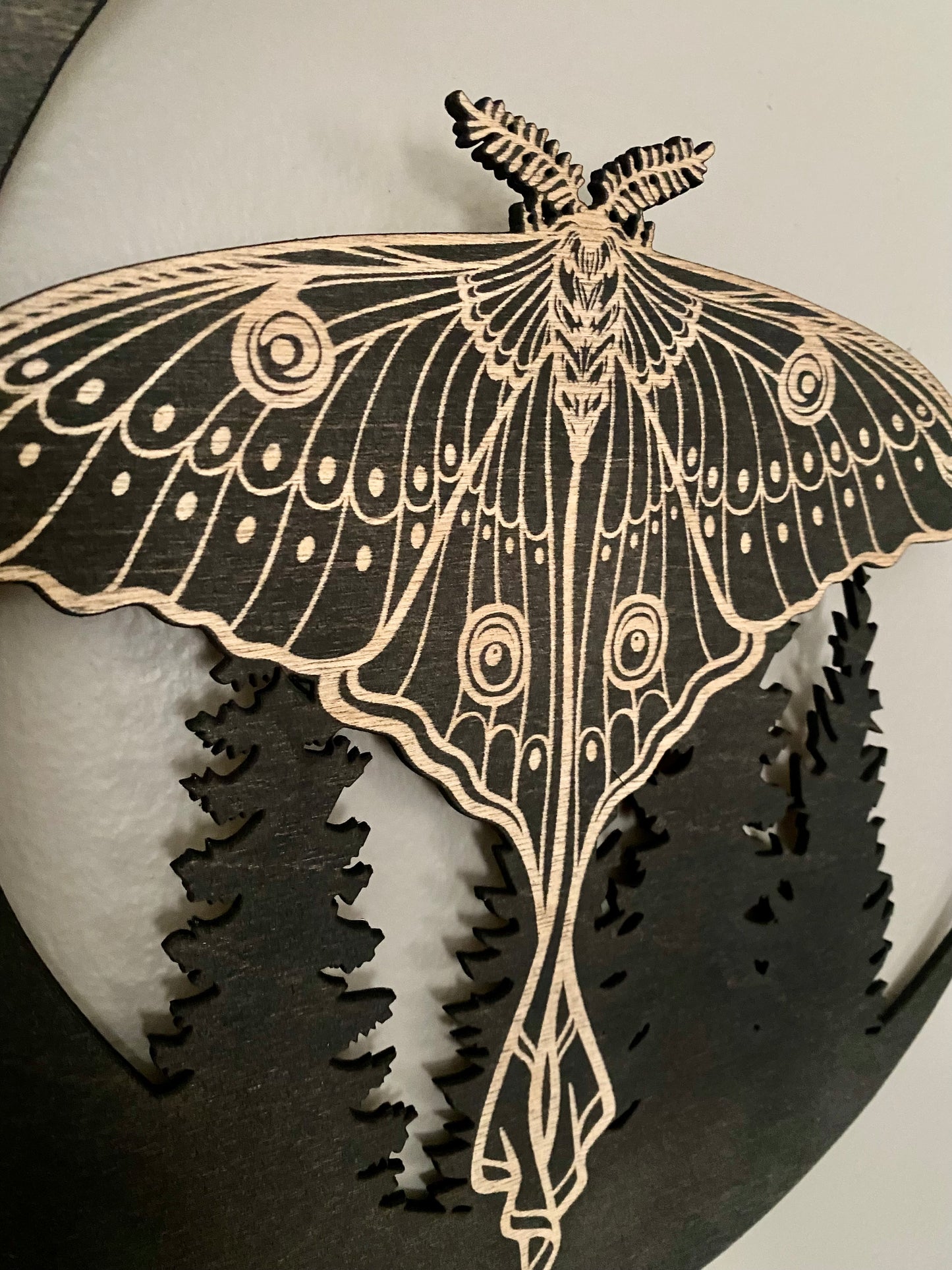 Luna Moth Wall Hanging