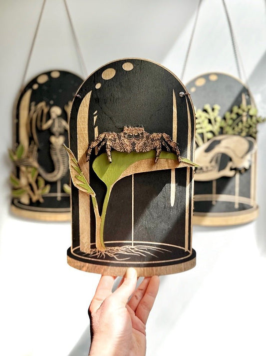 Jumping Spider Dome, Curiosities Dome - Faux Theory Design