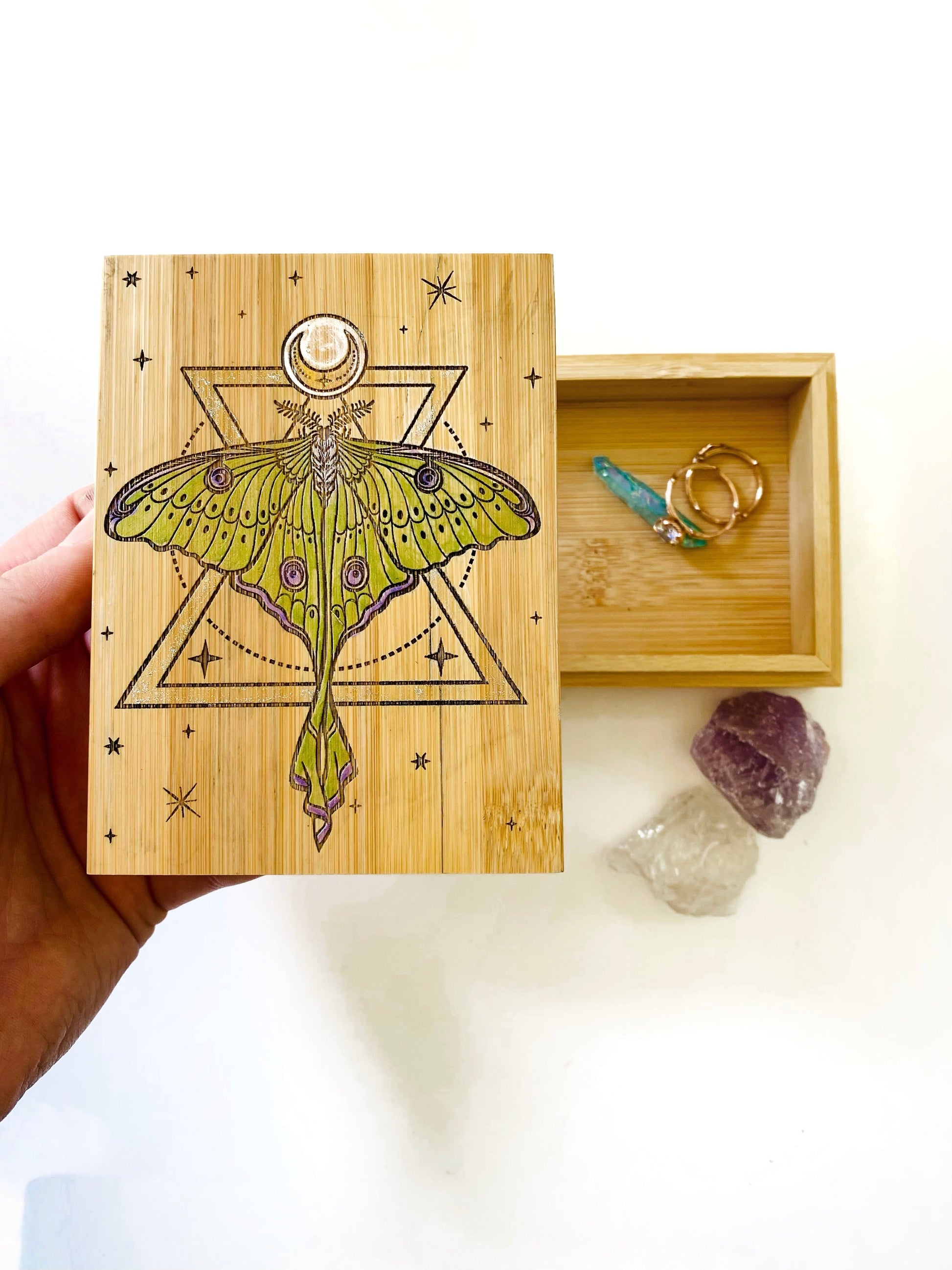 Luna Moth Small Storage Box - Faux Theory Design