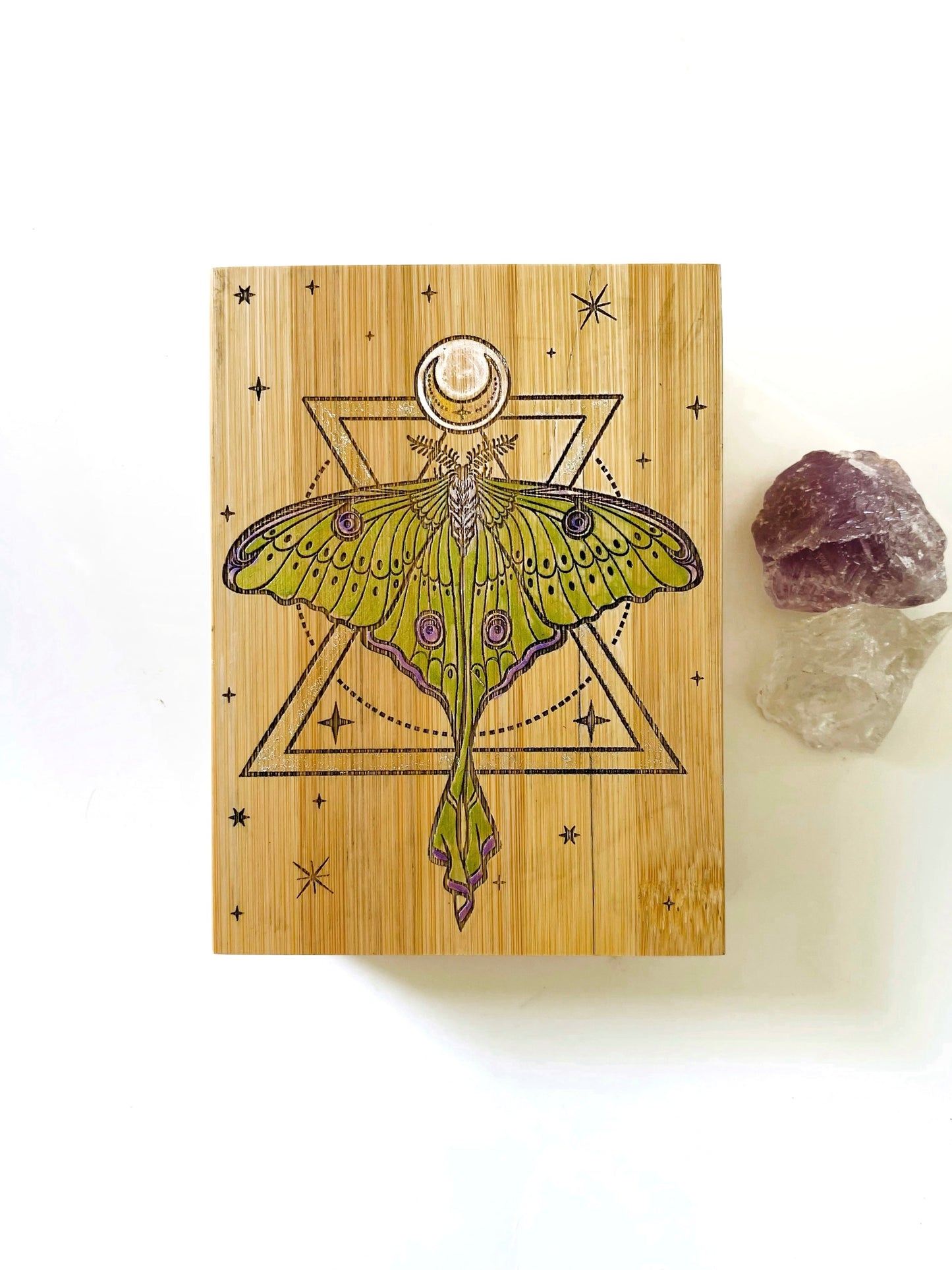 Luna Moth Small Storage Box - Faux Theory Design