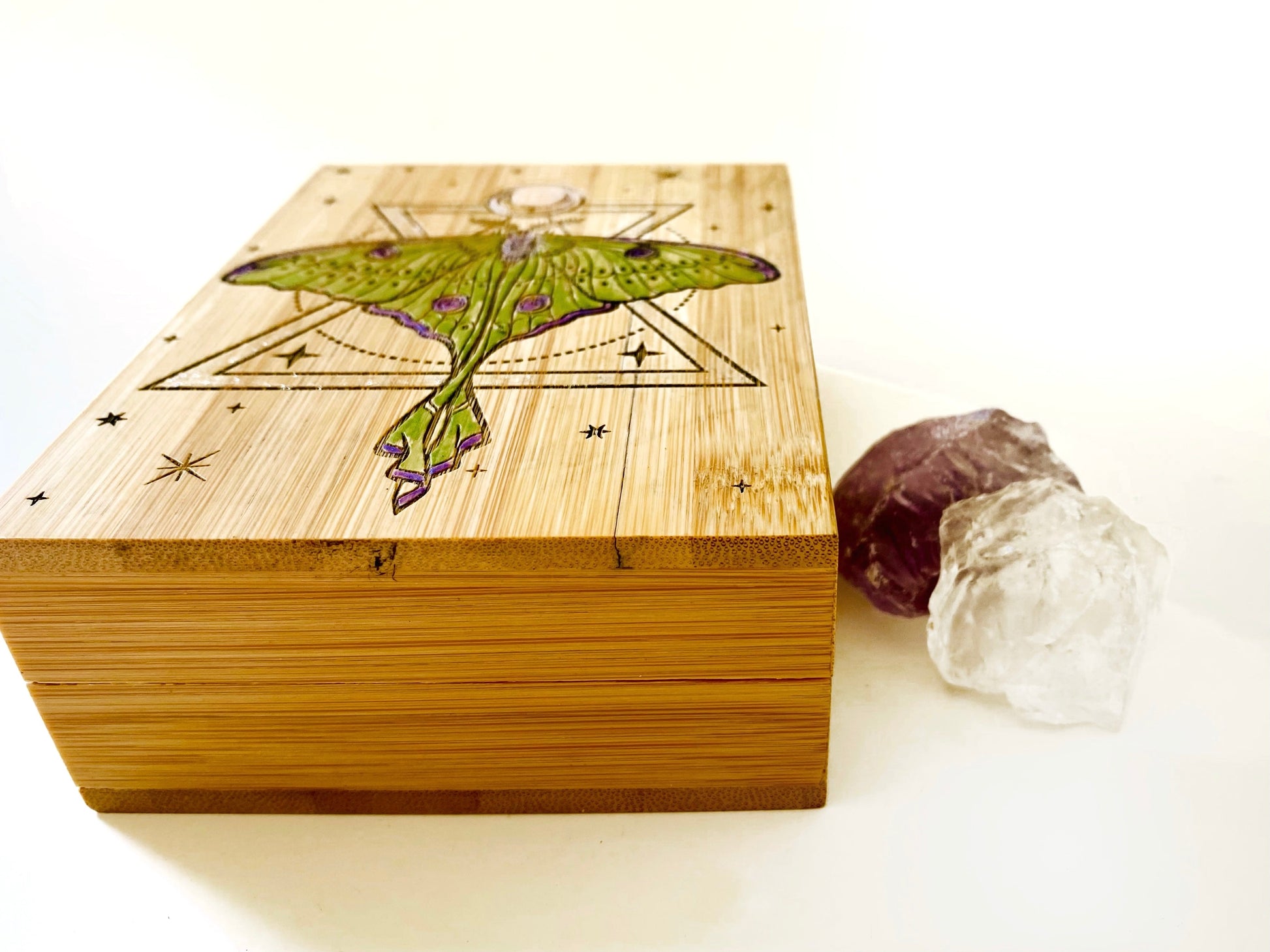 Luna Moth Small Storage Box - Faux Theory Design