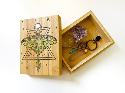 Luna Moth Small Storage Box - Faux Theory Design