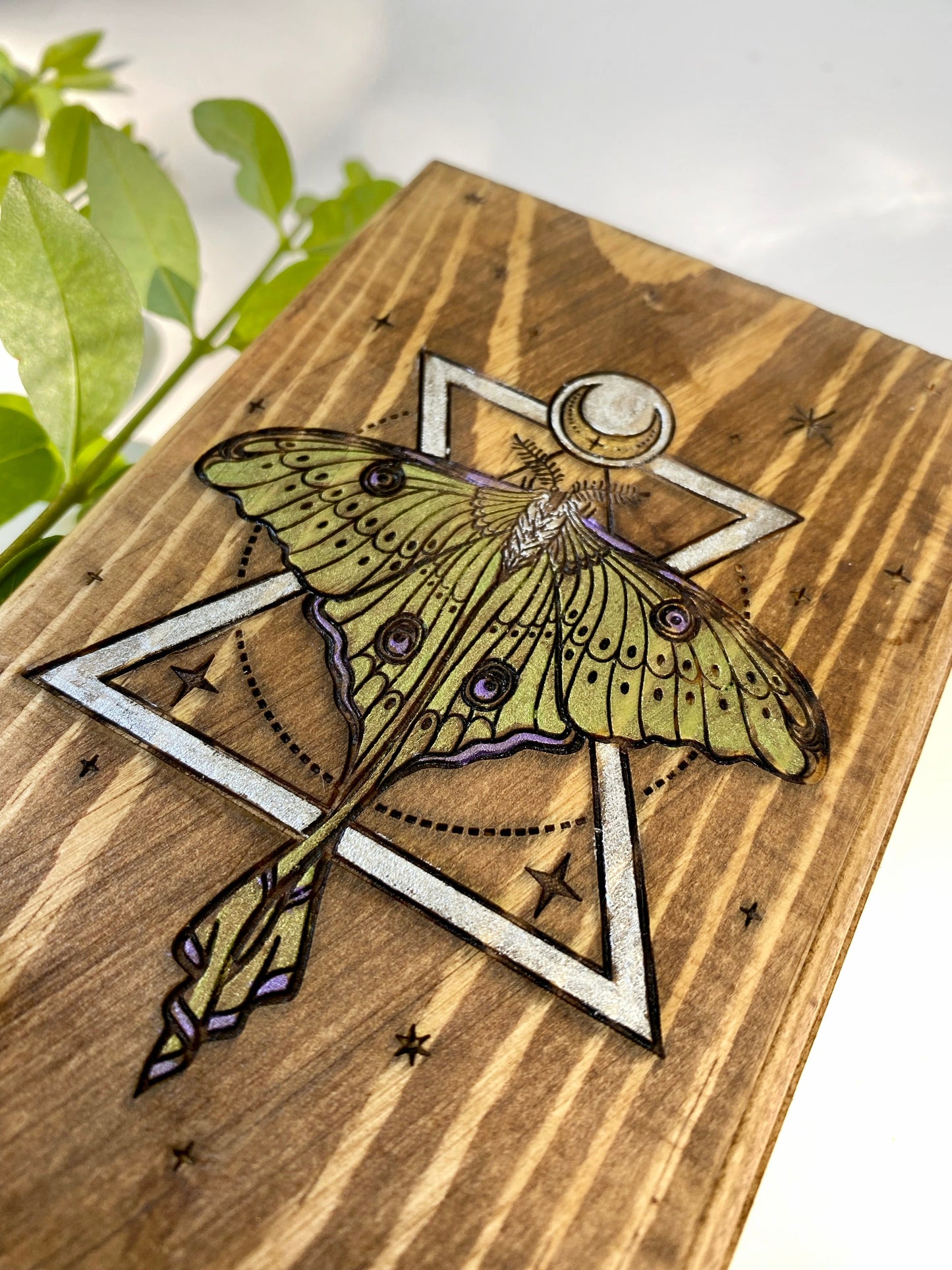 Luna Moth Tarot Box - Faux Theory Design