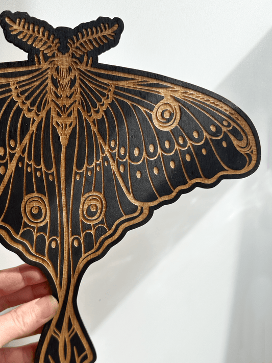 Luna Moth Wall Art - Faux Theory Design