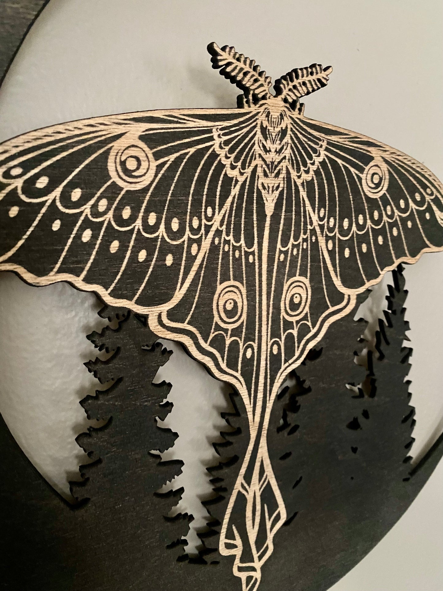Luna Moth Wall Hanging - Faux Theory Design