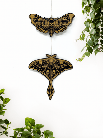 Luna Moth X Death Head Hawkmoth Wall Hanging - Faux Theory Design