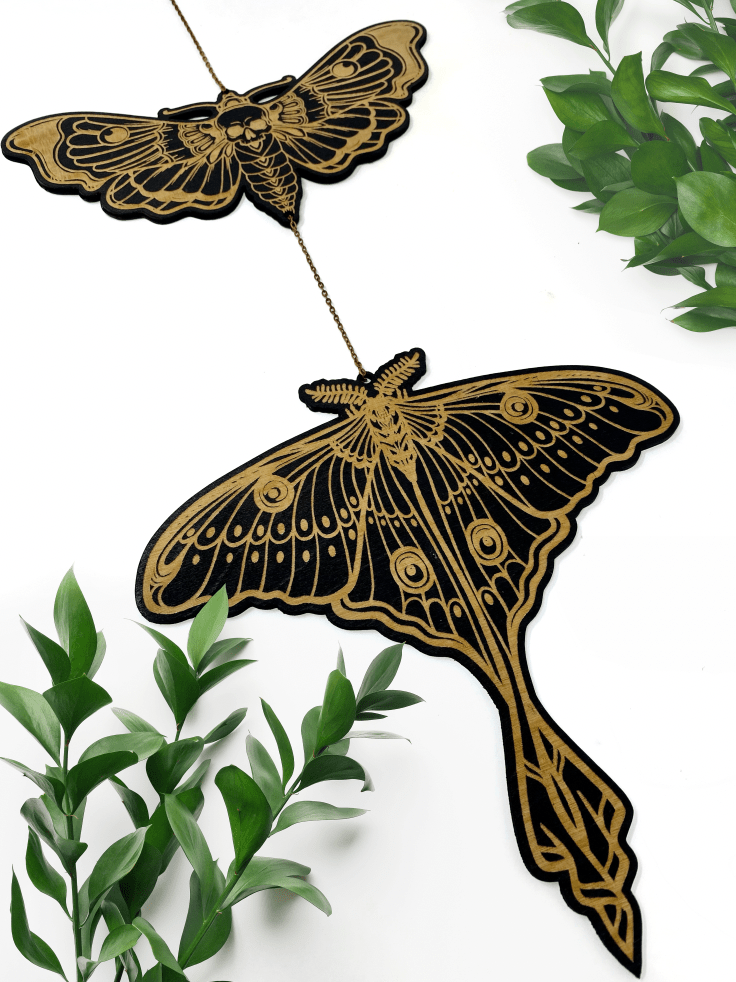 Luna Moth X Death Head Hawkmoth Wall Hanging - Faux Theory Design