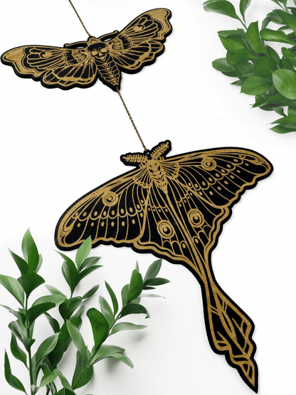 Luna Moth X Death Head Hawkmoth Wall Hanging - Faux Theory Design