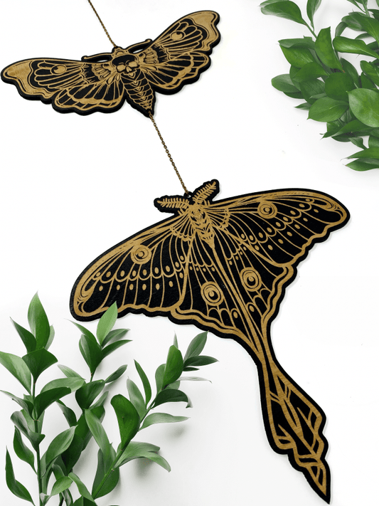 Luna Moth X Death Head Hawkmoth Wall Hanging - Faux Theory Design