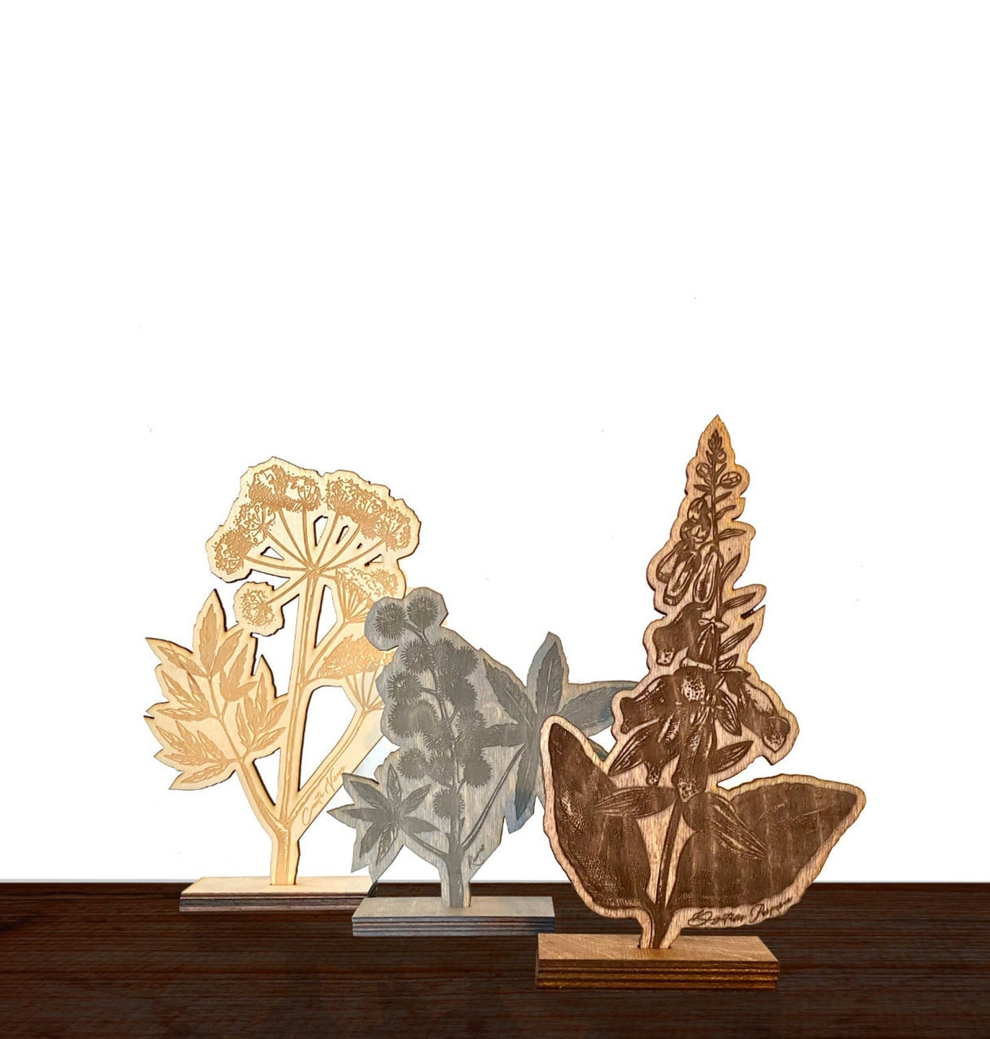Poisonous Plants, Botanicals - Faux Theory Design