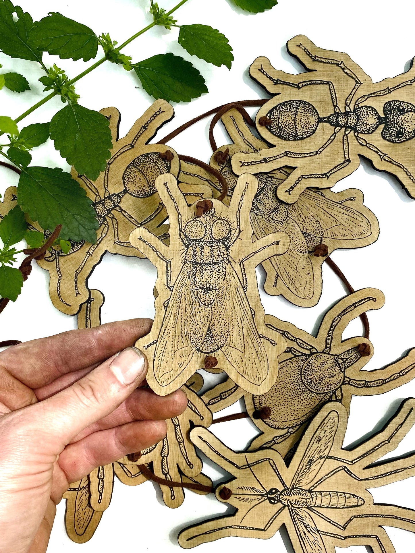 Summer Insect Garland | Ant, Fly, Tick, Mosquito Garland- Faux Theory Design